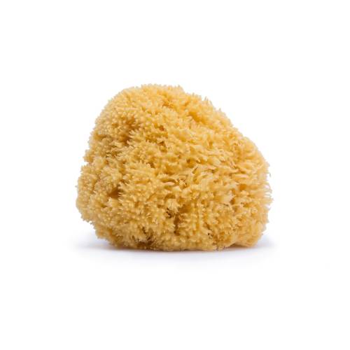 SUAVINEX Sponge Natural Large